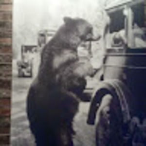 Meet your Posher, Shawn